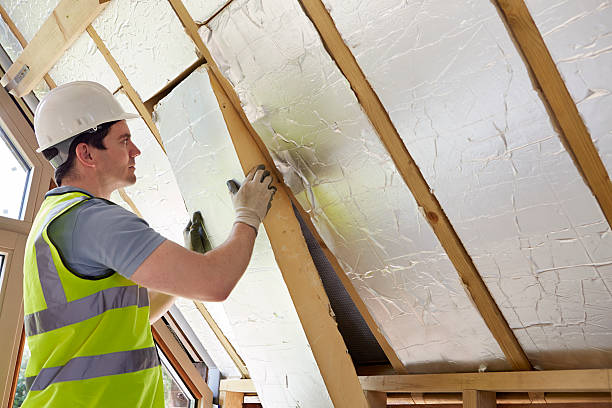 Best Insulation Installation Services in Arcadia, WI